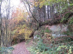 Herbstwanderung durch die Eifel ins Wiesental bei Kyllburg
