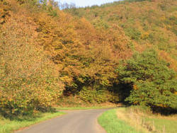 Das Kylltal im Eifel Herbst zwischen St. Thomas und Kyllburg 